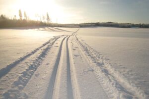 Read more about the article Härkäviikkoja vietellen